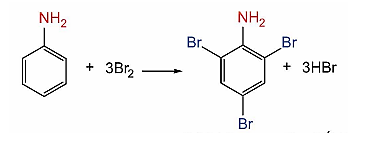Arylamine là gì (chi tiết nhất)