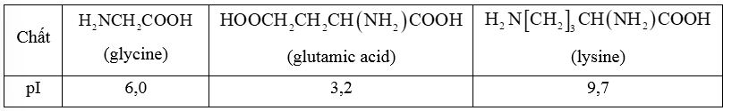 Bài tập tính điện di của amino acid lớp 12 (cách giải + bài tập)