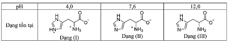 Bài tập tính điện di của amino acid lớp 12 (cách giải + bài tập)