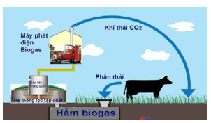 Biến đổi hóa học là gì (chi tiết nhất)