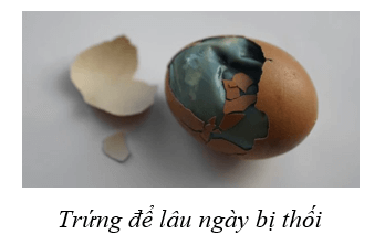 Biến đổi hóa học là gì (chi tiết nhất)