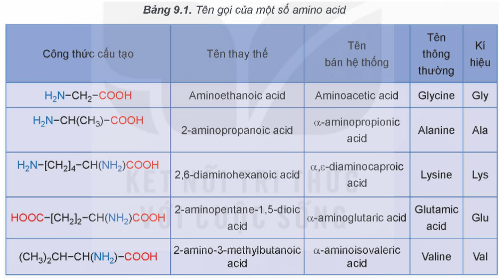 Cách gọi tên amino acid là gì (chi tiết nhất) (ảnh 1)