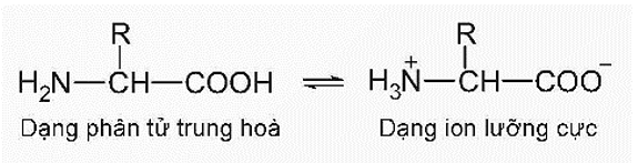 Cách gọi tên amino acid là gì (chi tiết nhất) (ảnh 2)