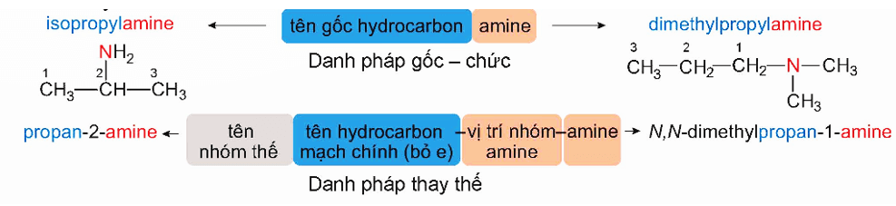 Cách gọi tên của amine là gì (chi tiết nhất) (ảnh 1)