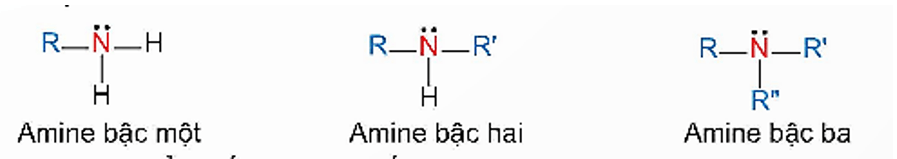 Cách gọi tên của amine là gì (chi tiết nhất) (ảnh 3)
