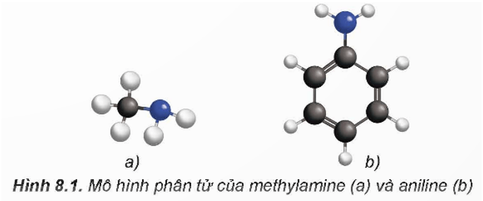 Cách gọi tên của amine là gì (chi tiết nhất) (ảnh 4)