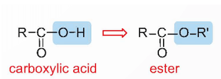 Cách gọi tên của ester là gì (chi tiết nhất) (ảnh 2)