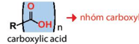 Carboxylic acid là gì (chi tiết nhất) (ảnh 1)