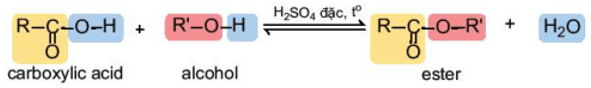 Carboxylic acid là gì (chi tiết nhất) (ảnh 3)