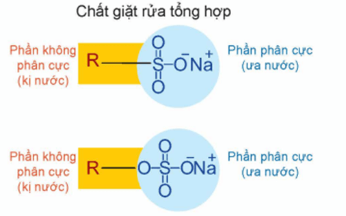 Cấu tạo của chất giặt rửa tổng hợp là gì (chi tiết nhất)