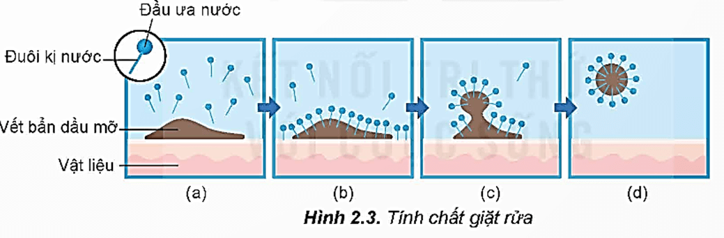 Cấu tạo của chất giặt rửa tổng hợp là gì (chi tiết nhất)