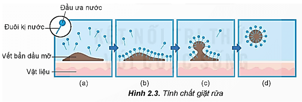 Cấu tạo của xà phòng là gì (chi tiết nhất) (ảnh 2)