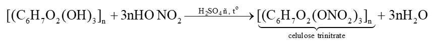 Cellulose là gì (chi tiết nhất) (ảnh 2)