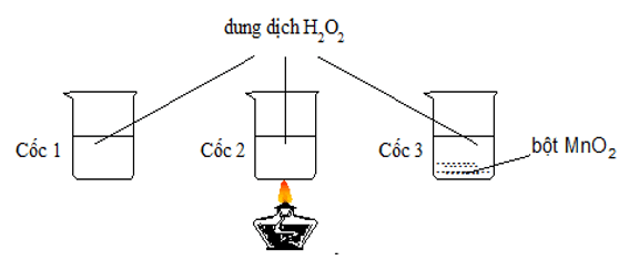 Chất xúc tác là gì (chi tiết nhất)