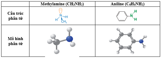 Amine lớp 12 (Chuyên đề dạy thêm Hóa 12)