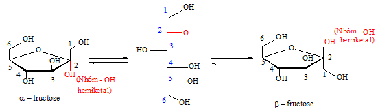 Giới thiệu Carbohydrate, Glucose, Fructose lớp 12 (Chuyên đề dạy thêm Hóa 12)