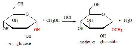 Giới thiệu Carbohydrate, Glucose, Fructose lớp 12 (Chuyên đề dạy thêm Hóa 12)