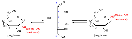 Giới thiệu Carbohydrate, Glucose, Fructose lớp 12 (Chuyên đề dạy thêm Hóa 12)