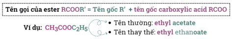 Khái niệm, Đồng phân, Danh pháp Ester lớp 12 (Chuyên đề dạy thêm Hóa 12)