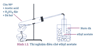 Tính chất, ứng dụng, điều chế Ester lớp 12 (Chuyên đề dạy thêm Hóa 12)