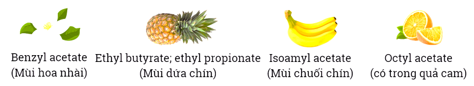 Tính chất, ứng dụng, điều chế Ester lớp 12 (Chuyên đề dạy thêm Hóa 12)