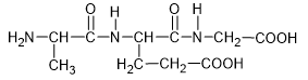 Peptide, Protein và Enzyme lớp 12 (Chuyên đề dạy thêm Hóa 12)