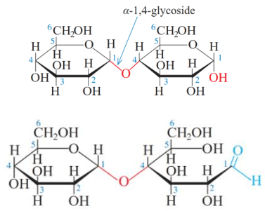 Saccharose và maltose lớp 12 (Chuyên đề dạy thêm Hóa 12)