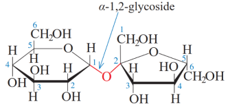 Saccharose và maltose lớp 12 (Chuyên đề dạy thêm Hóa 12)