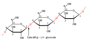 Tinh bột và cellulose lớp 12 (Chuyên đề dạy thêm Hóa 12)