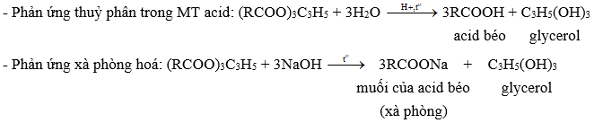 Lipid lớp 12 (Chuyên đề dạy thêm Hóa 12)