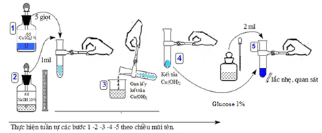 Bài tập thí nghiệm, thực nghiệm về Carbohydrate lớp 12 (Chuyên đề dạy thêm Hóa 12)