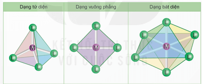 Dạng hình học của phức chất là gì (chi tiết nhất)