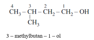 Danh pháp thay thế là gì/ tên thay thế là gì (chi tiết nhất)