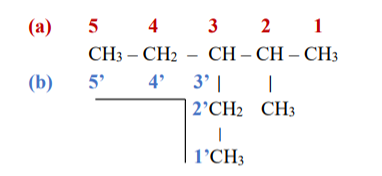 Danh pháp thay thế là gì/ tên thay thế là gì (chi tiết nhất)