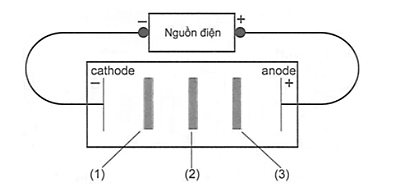 Điểm đẳng điện là gì (chi tiết nhất)