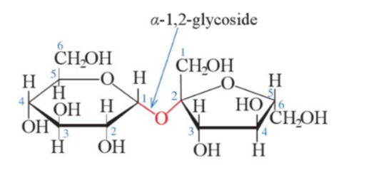 Disaccharide là gì (chi tiết nhất) (ảnh 3)