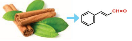 Hợp chất carbonyl là gì (chi tiết nhất) (ảnh 2)