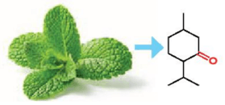 Hợp chất carbonyl là gì (chi tiết nhất) (ảnh 3)