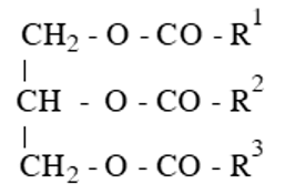 Lipid là gì (chi tiết nhất) (ảnh 1)