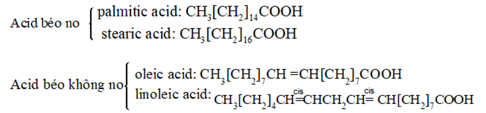 Lipid là gì (chi tiết nhất) (ảnh 2)