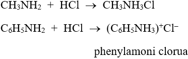 C6H5NH2 + HCl → C6H5NH3Cl | C6H5NH2 đến C6H5NH3Cl