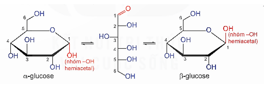 Monosaccharide là gì (chi tiết nhất) (ảnh 1)