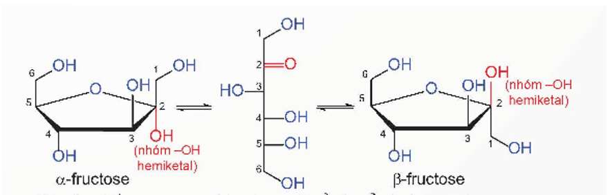 Monosaccharide là gì (chi tiết nhất) (ảnh 2)