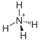 Muối ammonium là gì (chi tiết nhất) (ảnh 2)