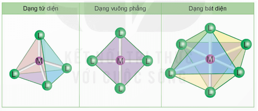 Nguyên tử trung tâm trong phức chất là gì (chi tiết nhất)