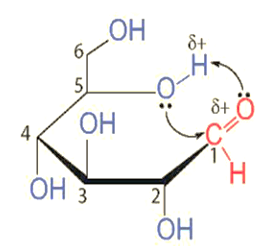 Nhóm −OH hemiacetal là gì (chi tiết nhất) (ảnh 4)