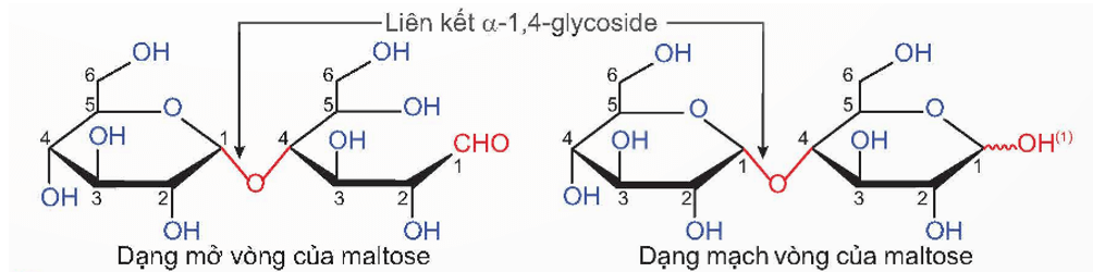 Nhóm −OH hemiacetal là gì (chi tiết nhất) (ảnh 4)