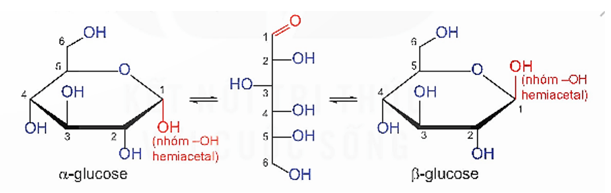 Nhóm −OH hemiacetal là gì (chi tiết nhất) (ảnh 4)