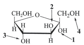 Nhóm −OH hemiketal là gì (chi tiết nhất) (ảnh 3)