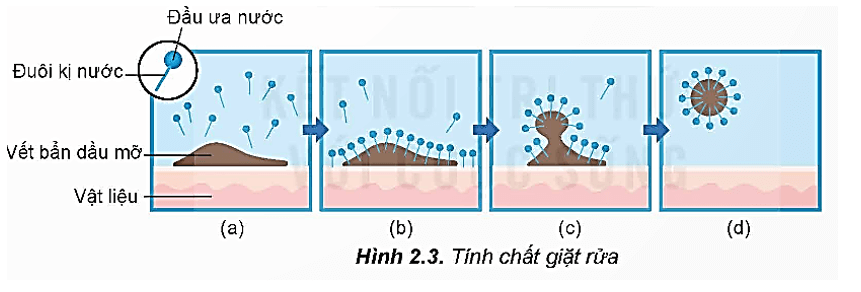 Phần kị nước của chất giặt rửa tổng hợp là gì (chi tiết nhất)